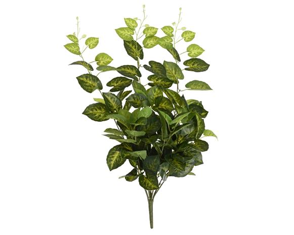 Everlands Bush pe taro tekokasvi