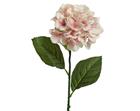 Everlands Hydrangea 66cm tekokukka