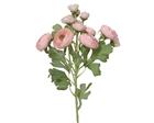 Everlands Ranunculus ranunculis tekokukka