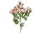 Everlands Ranunculus ranunculis tekokukka – kuva 1