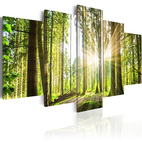 Artgeist Forest Kingdom taulusetti – kuva 1/1