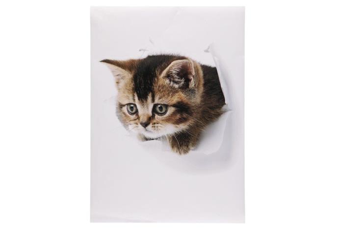 4Living Kissa 50x70cm sisustustarra