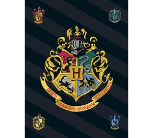 Lasten peitto Harry Potter, 100x140 cm