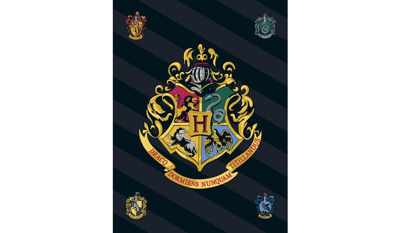 Lasten peitto Harry Potter, 100x140 cm