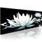 Artgeist Alabaster Lilies taulu – kuva 1