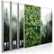Artgeist Forest (Collection) taulusetti – kuva 1