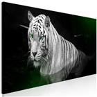 Artgeist Shining Tiger Green Narrow taulu