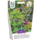 Nelson Garden kukkaseos mehiläisille ja perhosille 20g siemen