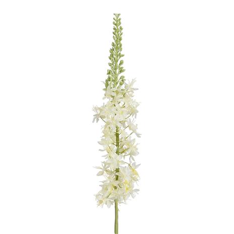 Mica Eremurus white 90cm tekokasvi