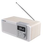 Blaupunkt PP14BT