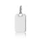 Pandora Engravable Rectangle Tag riipus 368611C00_ – kuva 4