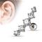SJ BP_TRAGUS5 CLEAR RUSTOKORU – kuva 1