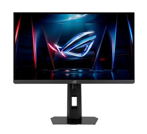 24,1" ASUS XG248QSG
