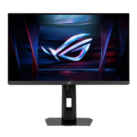 24,1" ASUS XG248QSG