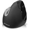 Evoluent VerticalMouse 4 Right Bluetooth VM4RB, langaton pystyhiiri – kuva 1