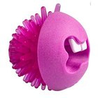 Rogz Fred piikkipallo vaaleanpunainen, 6.4cm
