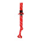 Rogz Scrubz Small Red punainen köysi, 31,5 cm, Lelut koirille