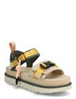 UGG W Goldenstar Wildwood - Multi/patterned - 42