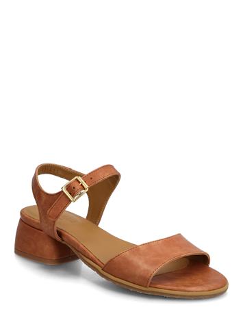 ANGULUS Sandals - Block Heels - Brown - 42