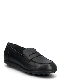 Wonders Flyfit 01 - Black - 42