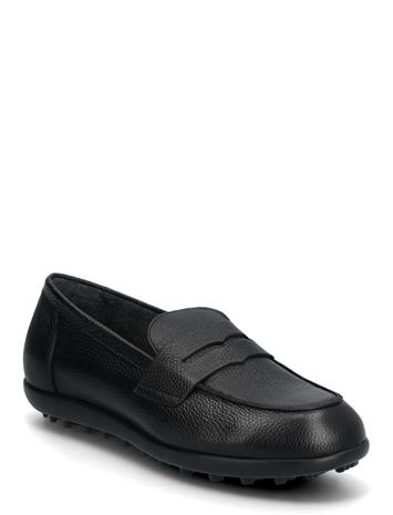 Wonders Flyfit 01 - Black - 42