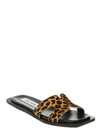 Steve Madden Sofia-L - Multi/patterned - 41