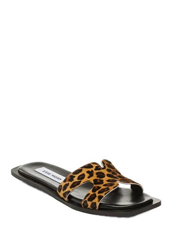 Steve Madden Sofia-L - Multi/patterned - 41