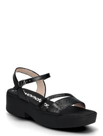 Wonders Venus 01 - Black - 42