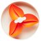 SPIN - Starter kit - Interactive Feeder Bourgainvillea - Orange - Easy – kuva 1