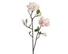 Everlands Magnolia 76cm tekokukka