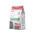 Leader Sensitive Large suurten rotujen koirille lohella, 2 kg