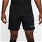 NIKE Academy Dri-FIT Soccer Shorts M - miesten shortsit – kuva 1