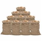 vidaXL Juuttisäkit 10 kpl 60x105 cm 100% Juutti 340 gsm