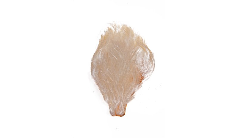 CHINESE NECKS WHITE