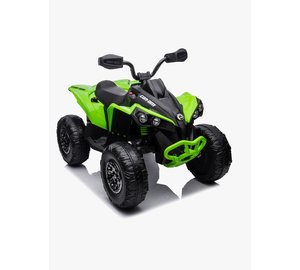 Can-Am Renegade Mönkijä, Vihreä