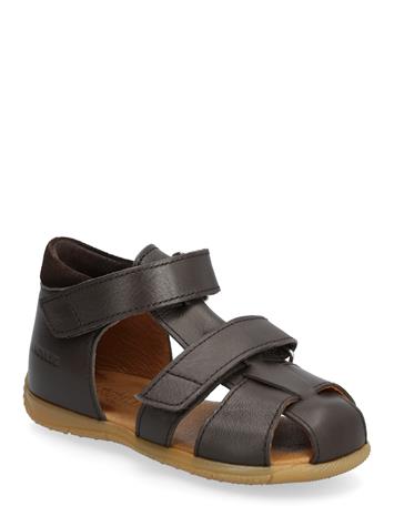 ANGULUS Sandals - Flat - Closed Toe - Brown - 23