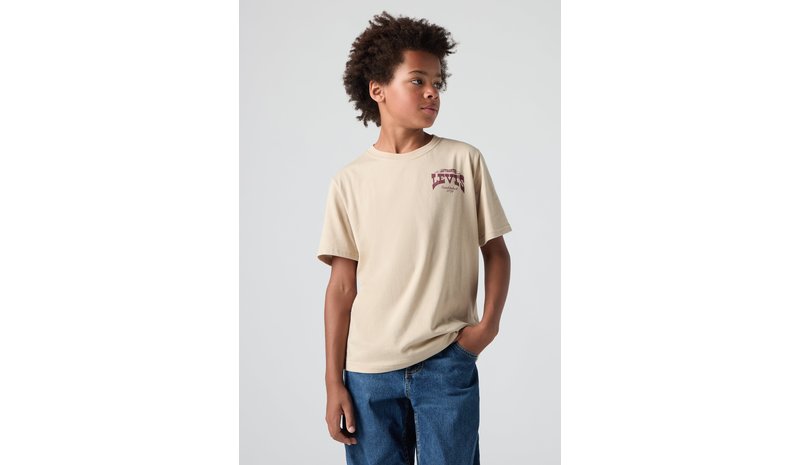 Levi's LVB Gallopping Free T-paita, White Pepper, 176