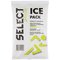 Select Ice Pack – kuva 1
