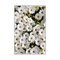 Asir matto HMNT521 50x80 cm – kuva 1