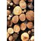 Asir matto Hmnt550 50x80 cm – kuva 1