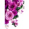 Asir matto Hmnt553 120x180 cm – kuva 1
