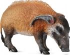 Collecta Red pig L -hahmo