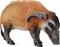 Collecta Red pig L -hahmo – kuva 1