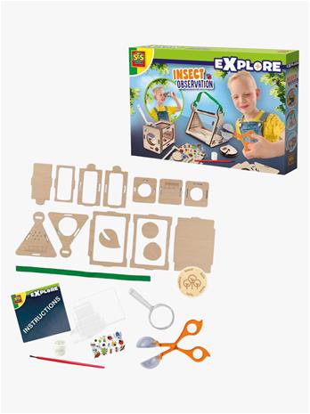 SES Creative - Insect Observation (S25208)