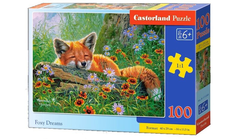 Palapeli 100 palaa, kettu unelmia