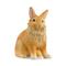 Schleich Lionhead Rabbit – kuva 3