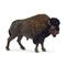 Schleich Wild Life Bison biisoni – kuva 4
