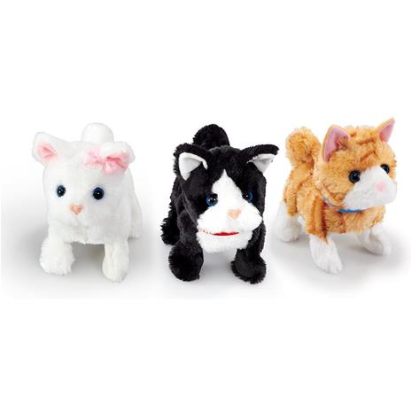 Happy Pets Pretty Little Kitty 3 asst.