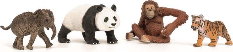 Schleich Wild Life Asia Starter Set