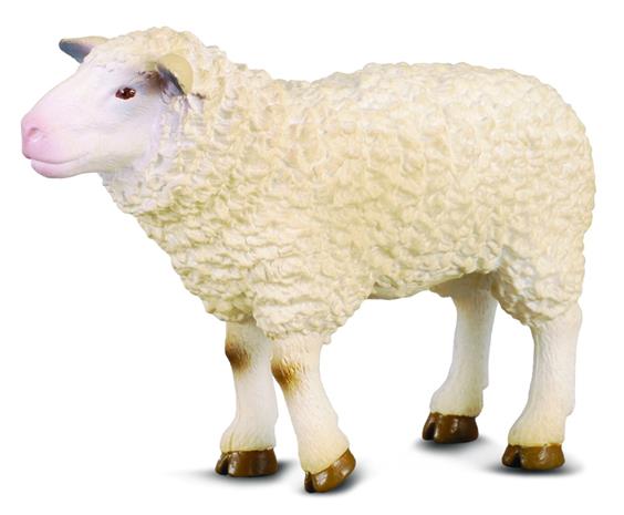 Shape Sheep Collecta (M)